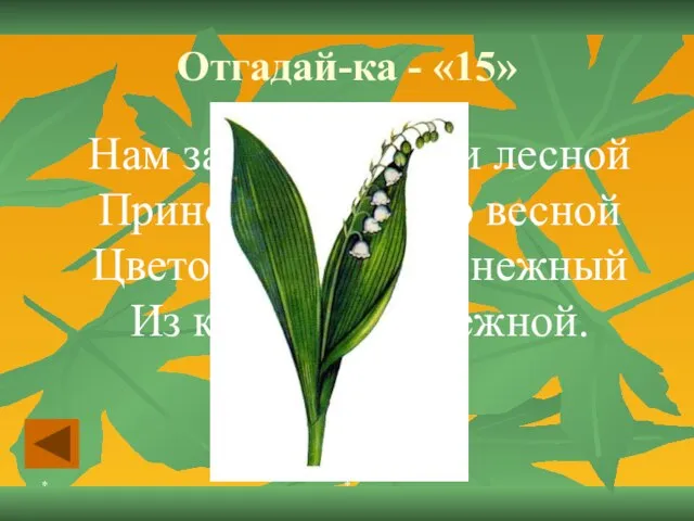 * * Отгадай-ка - «15» Нам запах свежести лесной Приносит позднею весной