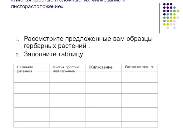 Лабораторная работа «Листья простые и сложные, их жилкование и листорасположение» Рассмотрите предложенные