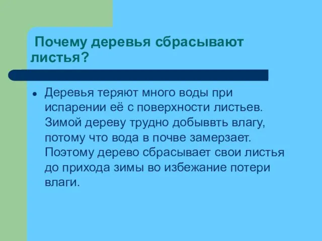 Почему деревья сбрасывают листья? Деревья теряют много воды при испарении её с