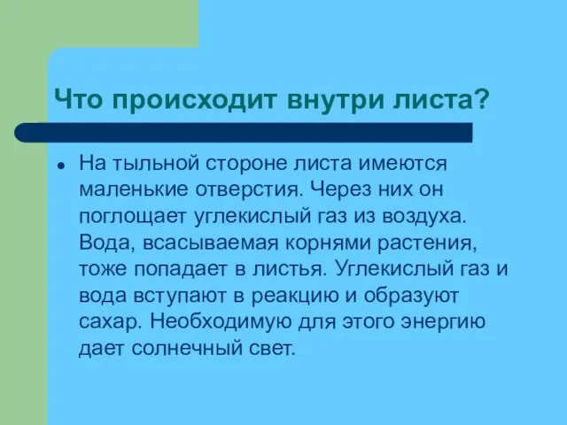 Что происходит внутри листа? На тыльной стороне листа имеются маленькие отверстия. Через