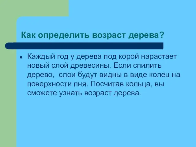 Как определить возраст дерева? Каждый год у дерева под корой нарастает новый