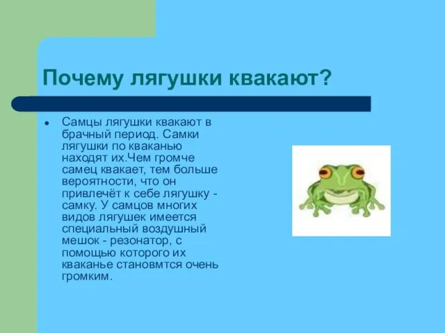 Почему лягушки квакают? Самцы лягушки квакают в брачный период. Самки лягушки по