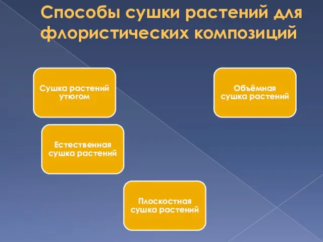 Способы сушки растений для флористических композиций Сушка растений утюгом Объёмная сушка растений