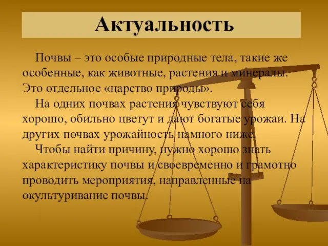 Актуальность Почвы – это особые природные тела, такие же особенные, как животные,