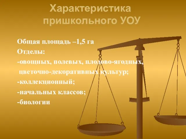 Характеристика пришкольного УОУ Общая площадь –1,5 га Отделы: -овощных, полевых, плодово-ягодных, цветочно-декоративных