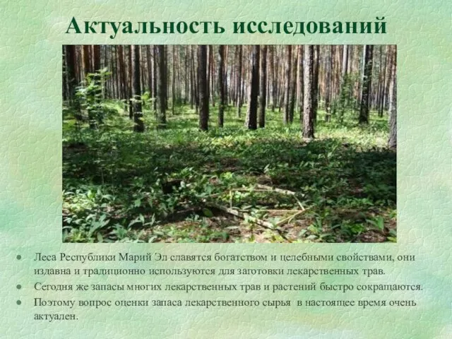 Актуальность исследований Леса Республики Марий Эл славятся богатством и целебными свойствами, они