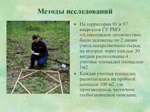Методы исследований На территории 91 и 87 кварталов ГУ РМЭ «Алексеевское лесничество»