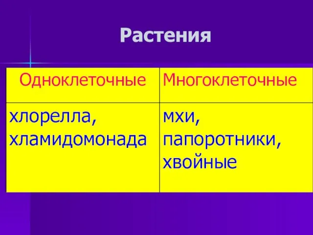 Растения