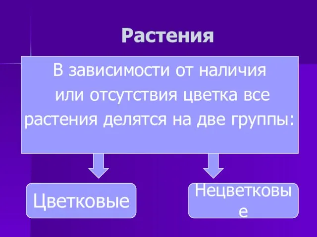 Растения Цветковые Нецветковые В зависимости от наличия или отсутствия цветка все растения делятся на две группы: