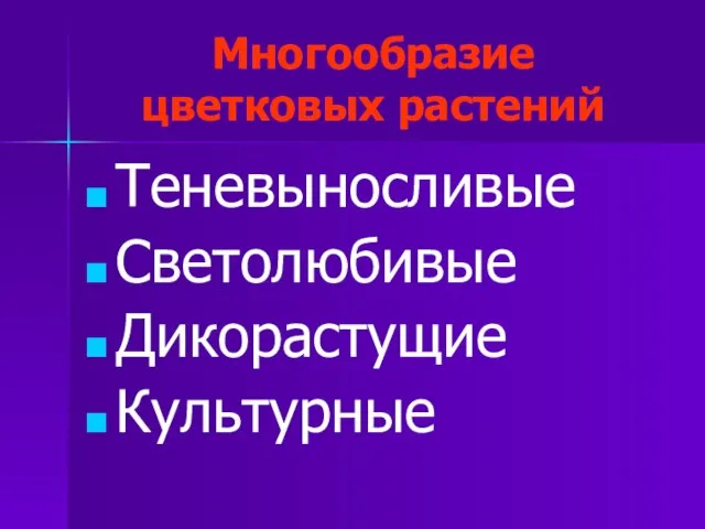 Многообразие цветковых растений Теневыносливые Светолюбивые Дикорастущие Культурные