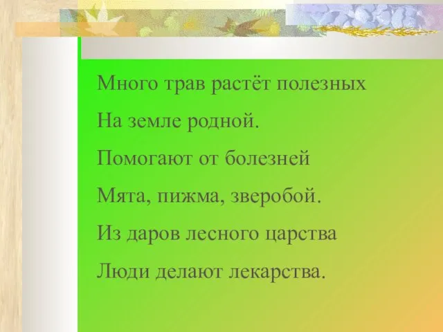 Много трав растёт полезных На земле родной. Помогают от болезней Мята, пижма,