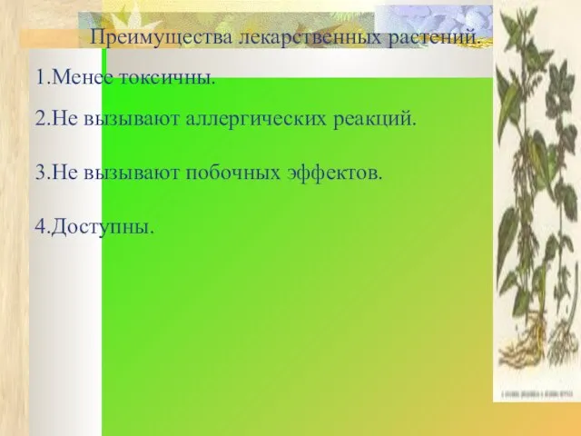 Преимущества лекарственных растений. 1.Менее токсичны. 2.Не вызывают аллергических реакций. 3.Не вызывают побочных эффектов. 4.Доступны.