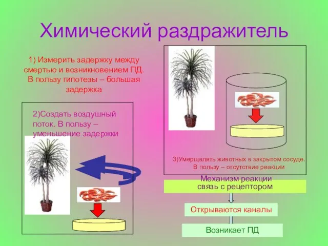 Химический раздражитель 1) Измерить задержку между смертью и возникновением ПД. В пользу