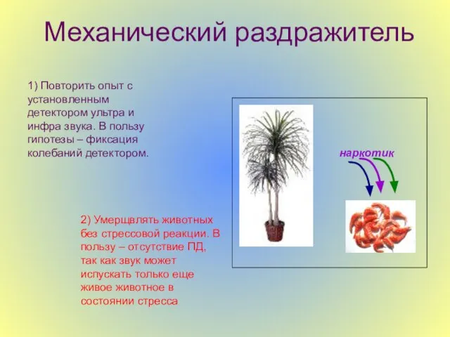 Механический раздражитель 1) Повторить опыт с установленным детектором ультра и инфра звука.