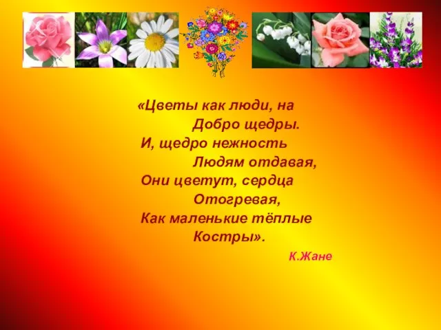 «Цветы как люди, на Добро щедры. И, щедро нежность Людям отдавая, Они