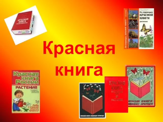 Красная книга