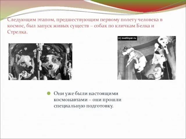 Следующим этапом, предшествующим первому полету человека в космос, был запуск живых существ