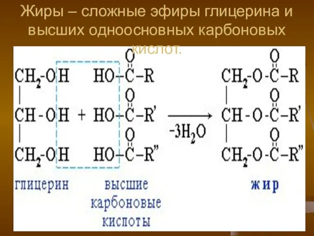 Жиры – сложные эфиры глицерина и высших одноосновных карбоновых кислот.