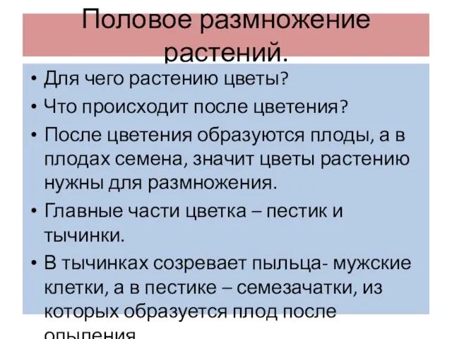 Половое размножение растений. Для чего растению цветы? Что происходит после цветения? После