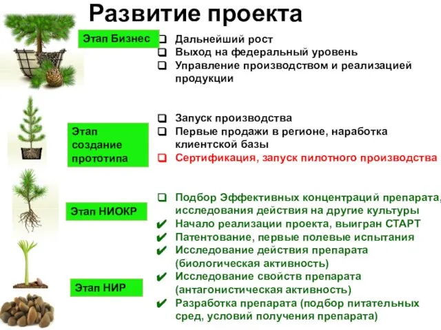 Развитие проекта Дальнейший рост Выход на федеральный уровень Управление производством и реализацией