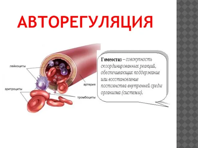 АВТОРЕГУЛЯЦИЯ