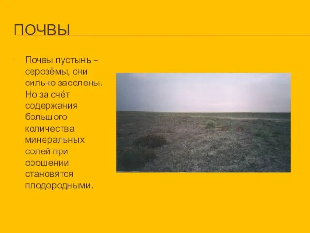 ПОЧВЫ Почвы пустынь – серозёмы, они сильно засолены. Но за счёт содержания