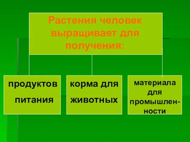 Растения человек выращивает для получения: продуктов питания корма для животных материала для промышлен-ности