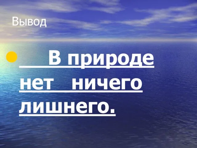 Вывод В природе нет ничего лишнего.