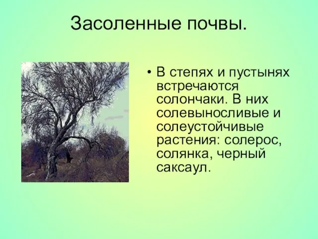 Засоленные почвы. В степях и пустынях встречаются солончаки. В них солевыносливые и