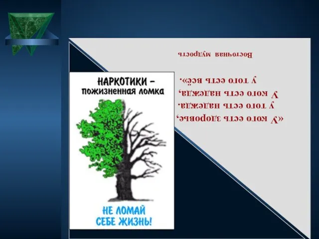 «У кого есть здоровье, у того есть надежда. У кого есть надежда,