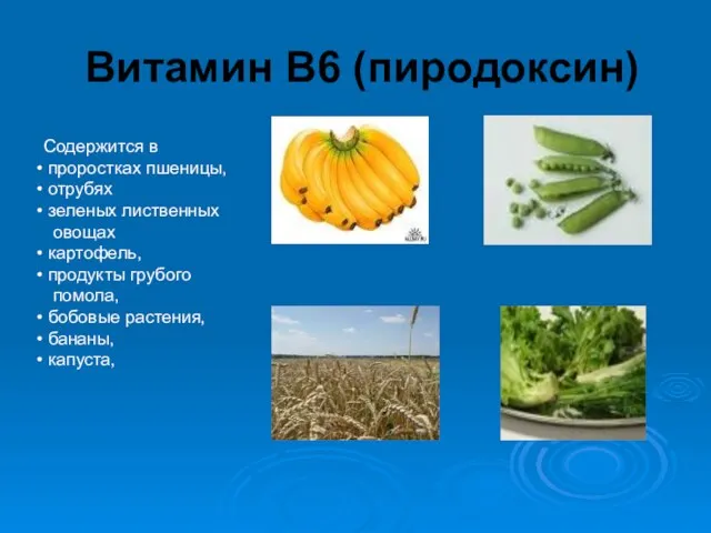 Витамин В6 (пиродоксин) Содержится в проростках пшеницы, отрубях зеленых лиственных овощах картофель,