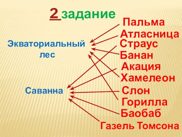 2 задание Экваториальный лес Саванна Банан Пальма Слон Хамелеон Горилла Баобаб Страус Атласница Акация Газель Томсона