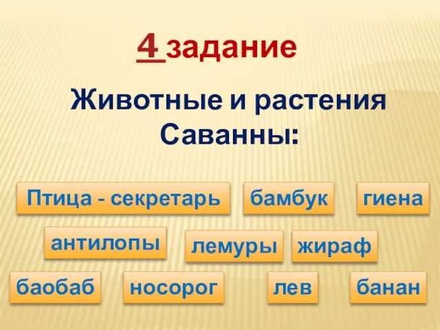 4 задание Животные и растения Саванны: Птица - секретарь бамбук гиена баобаб