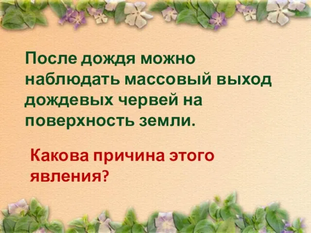 После дождя можно наблюдать массовый выход дождевых червей на поверхность земли. Какова причина этого явления?