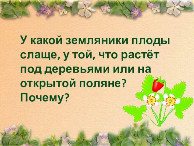 У какой земляники плоды слаще, у той, что растёт под деревьями или на открытой поляне? Почему?