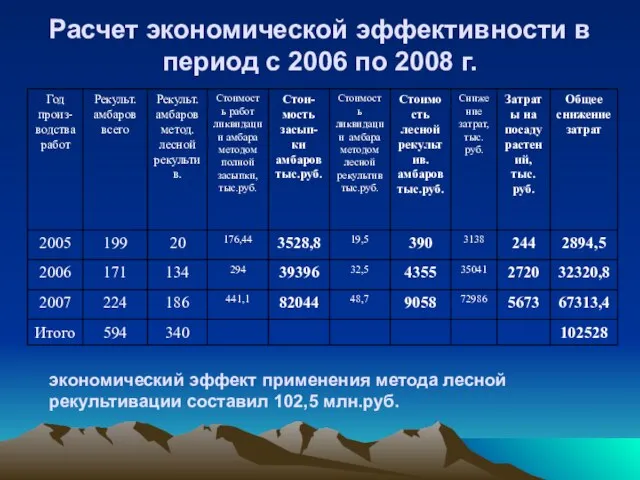 Расчет экономической эффективности в период с 2006 по 2008 г. экономический эффект