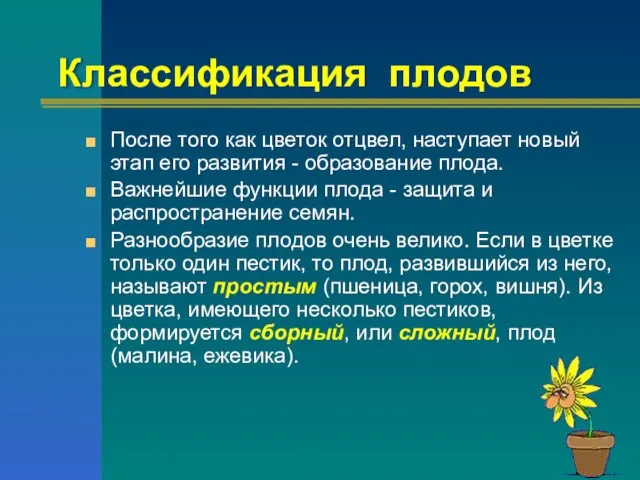 Классификация плодов После того как цветок отцвел, наступает новый этап его развития