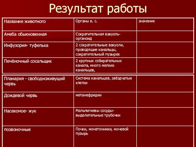 Результат работы