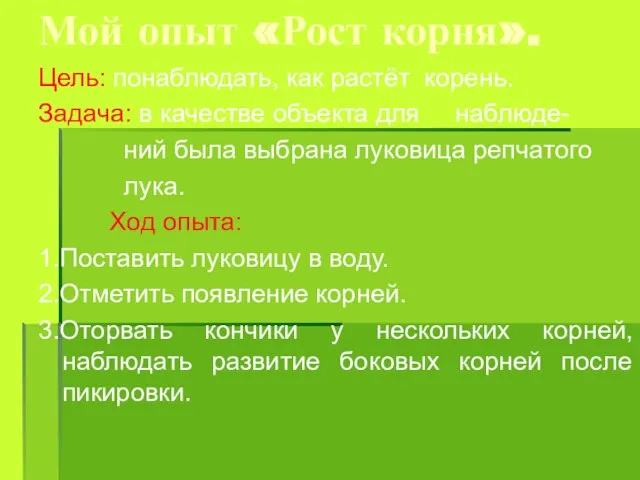 Мой опыт «Рост корня». Цель: понаблюдать, как растёт корень. Задача: в качестве