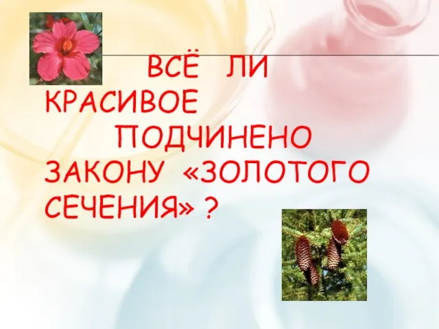 ВСЁ ЛИ КРАСИВОЕ ПОДЧИНЕНО ЗАКОНУ «ЗОЛОТОГО СЕЧЕНИЯ» ?