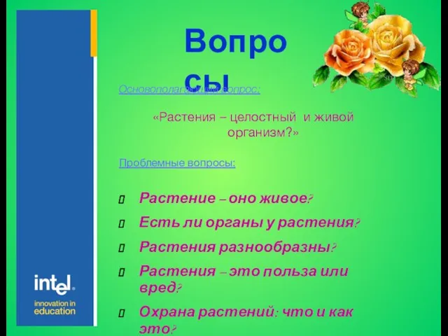 Вопросы Основополагающий вопрос: «Растения – целостный и живой организм?» Проблемные вопросы: Растение