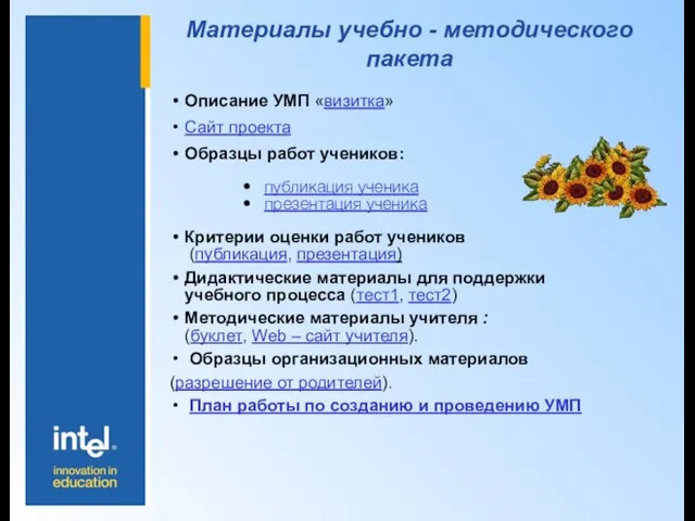 Материалы учебно - методического пакета Описание УМП «визитка» Сайт проекта Образцы работ