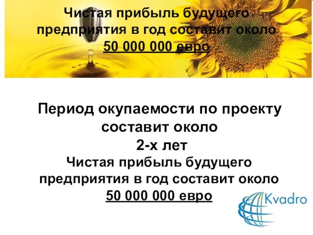 Чистая прибыль будущего предприятия в год составит около 50 000 000 евро