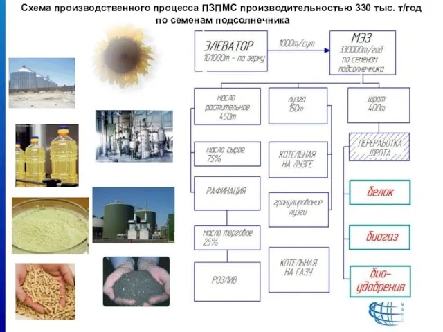 Схема производственного процесса ПЗПМС производительностью 330 тыс. т/год по семенам подсолнечника