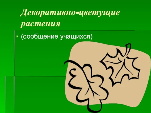 Декоративно-цветущие растения (сообщение учащихся)