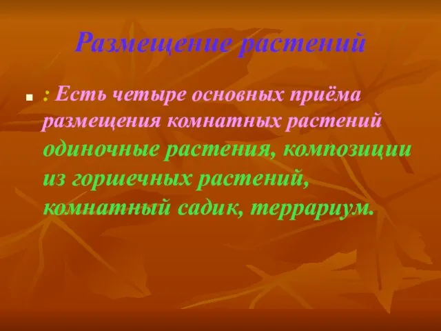 Размещение растений : Есть четыре основных приёма размещения комнатных растений одиночные растения,