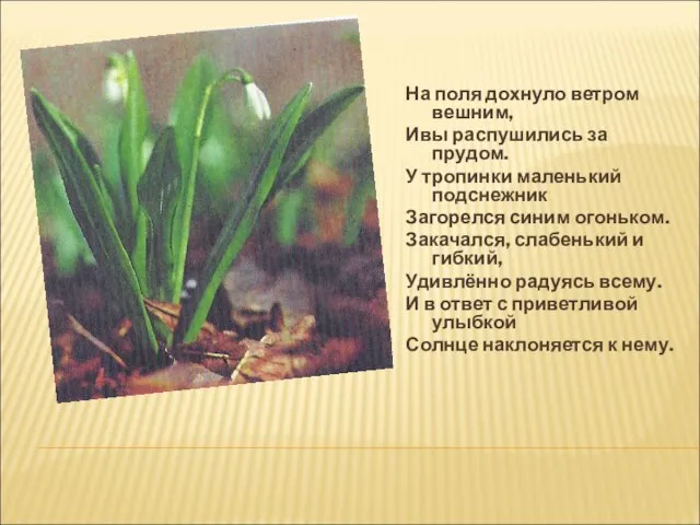 На поля дохнуло ветром вешним, Ивы распушились за прудом. У тропинки маленький