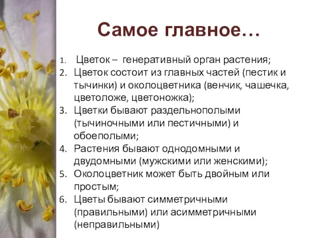 Самое главное… Цветок – генеративный орган растения; Цветок состоит из главных частей