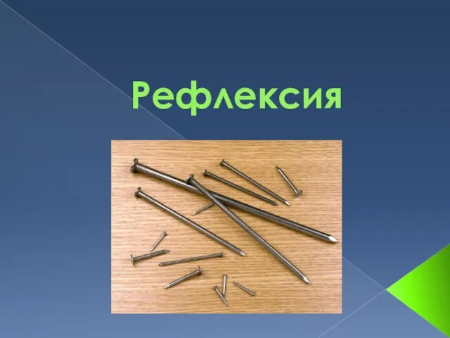 Рефлексия