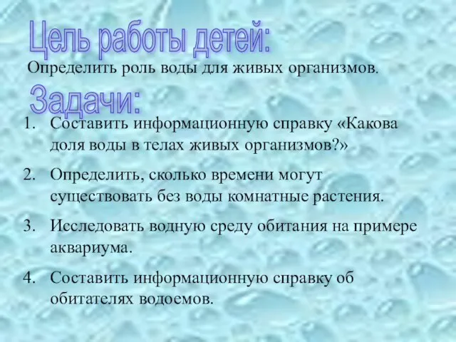 Определить роль воды для живых организмов. Составить информационную справку «Какова доля воды